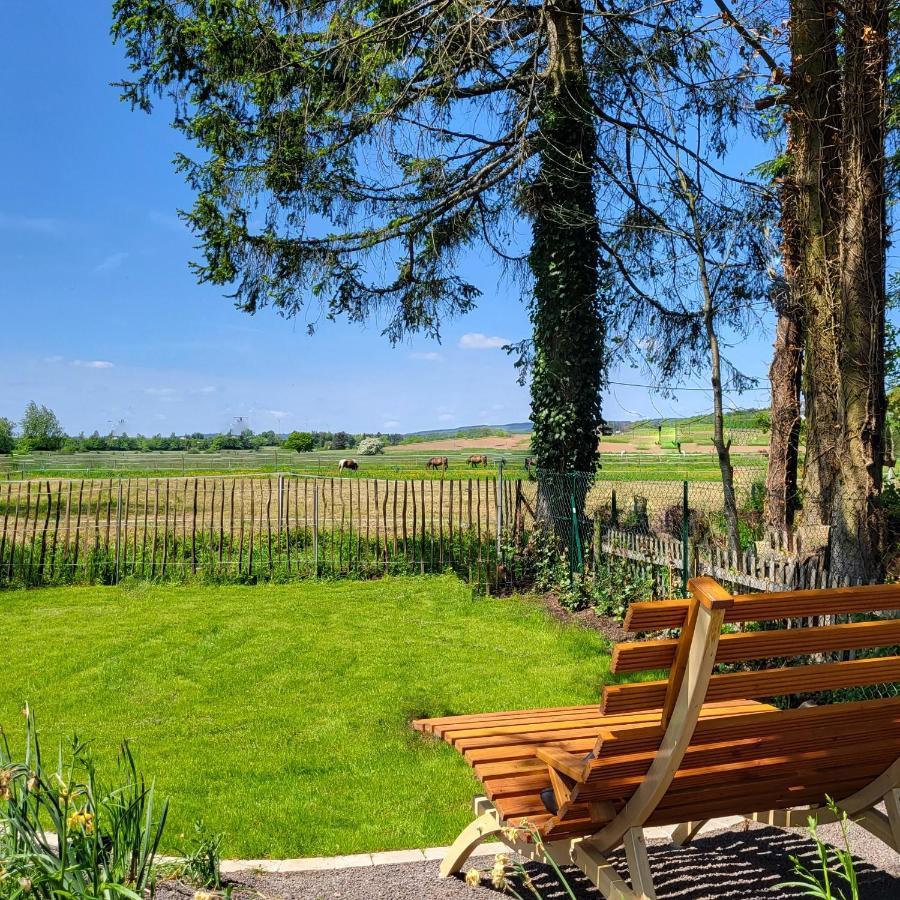 Komfort Ferienwohnungen Mit Wellness-Garten - Gaestehaus Am Bachlauf - Losheim Am See Exterior foto