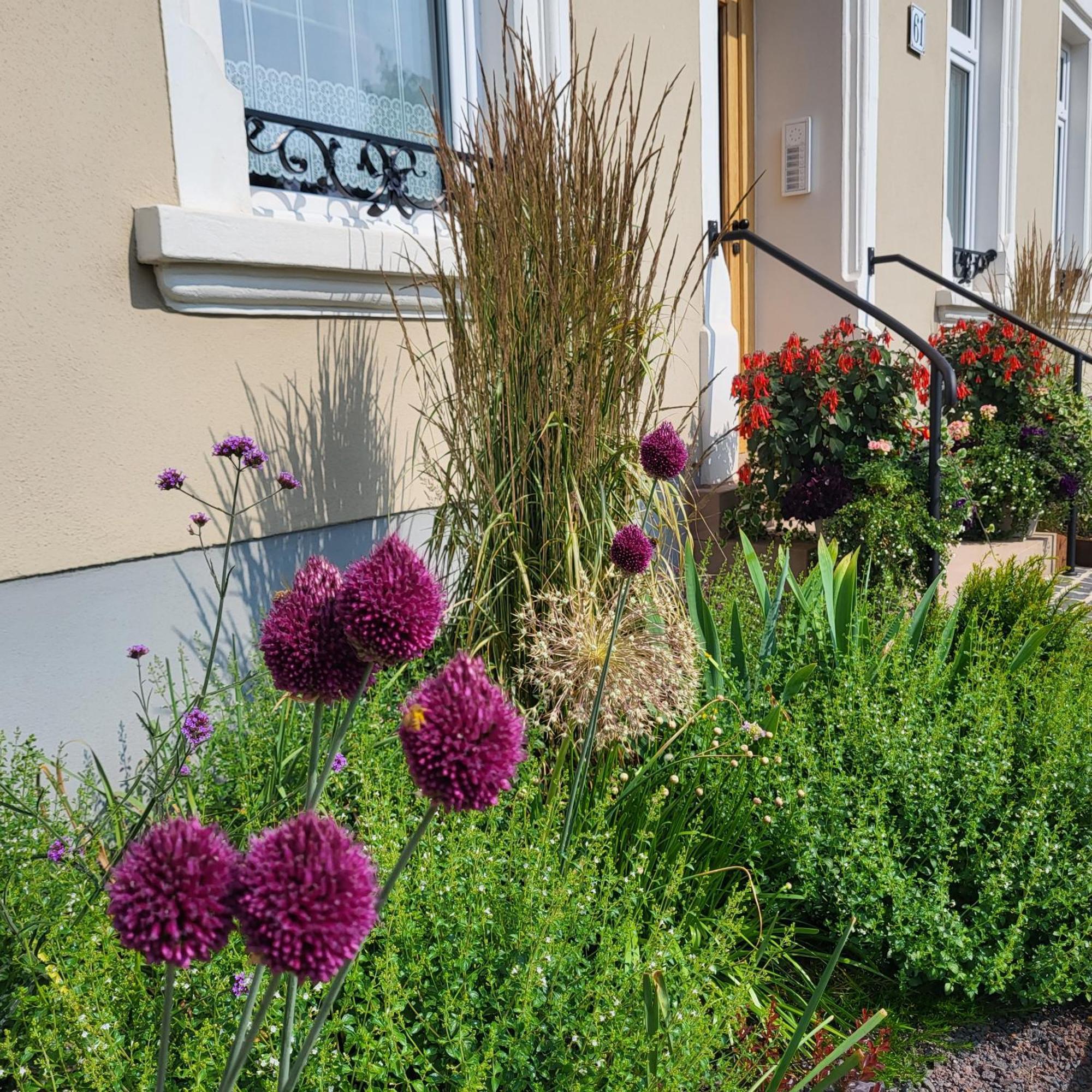 Komfort Ferienwohnungen Mit Wellness-Garten - Gaestehaus Am Bachlauf - Losheim Am See Exterior foto