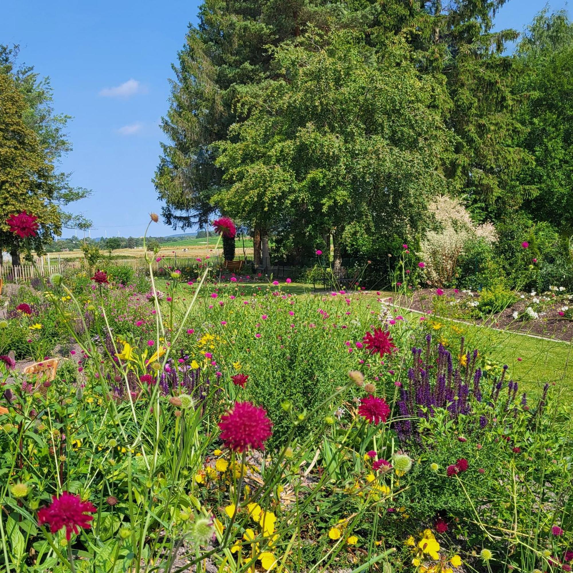 Komfort Ferienwohnungen Mit Wellness-Garten - Gaestehaus Am Bachlauf - Losheim Am See Exterior foto