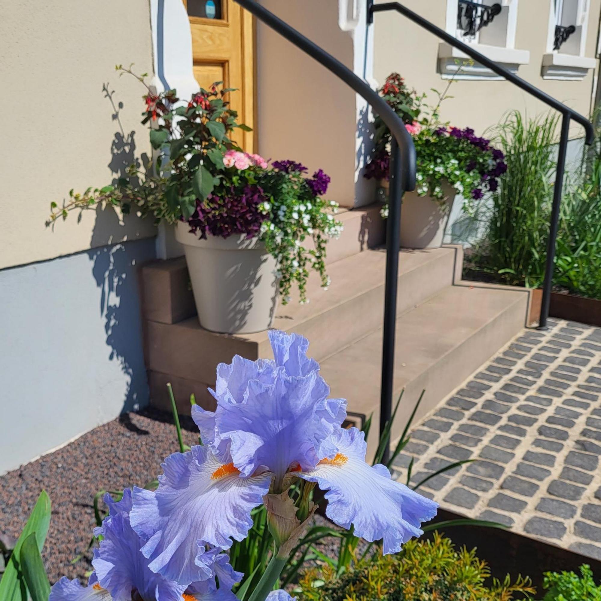 Komfort Ferienwohnungen Mit Wellness-Garten - Gaestehaus Am Bachlauf - Losheim Am See Zimmer foto