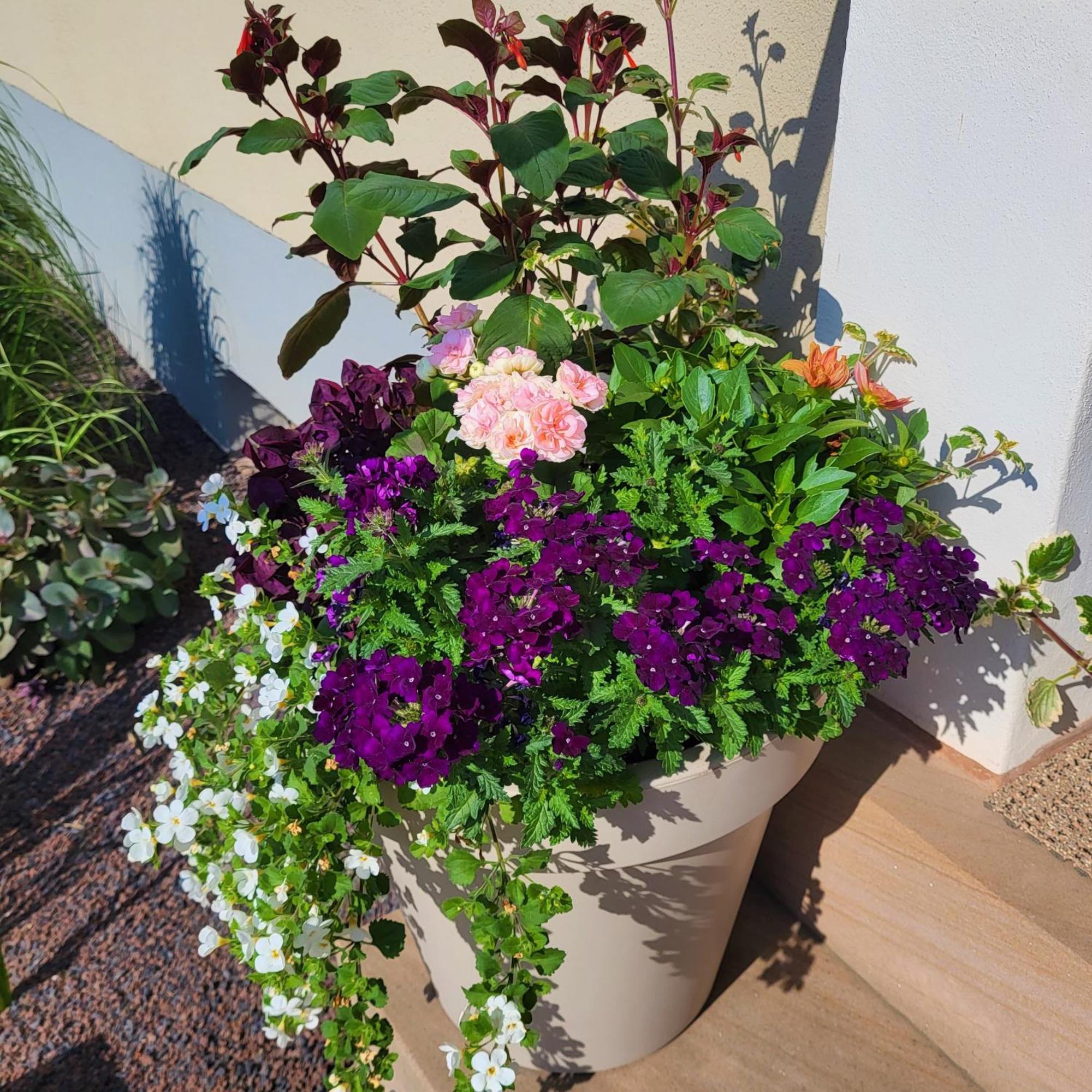 Komfort Ferienwohnungen Mit Wellness-Garten - Gaestehaus Am Bachlauf - Losheim Am See Zimmer foto