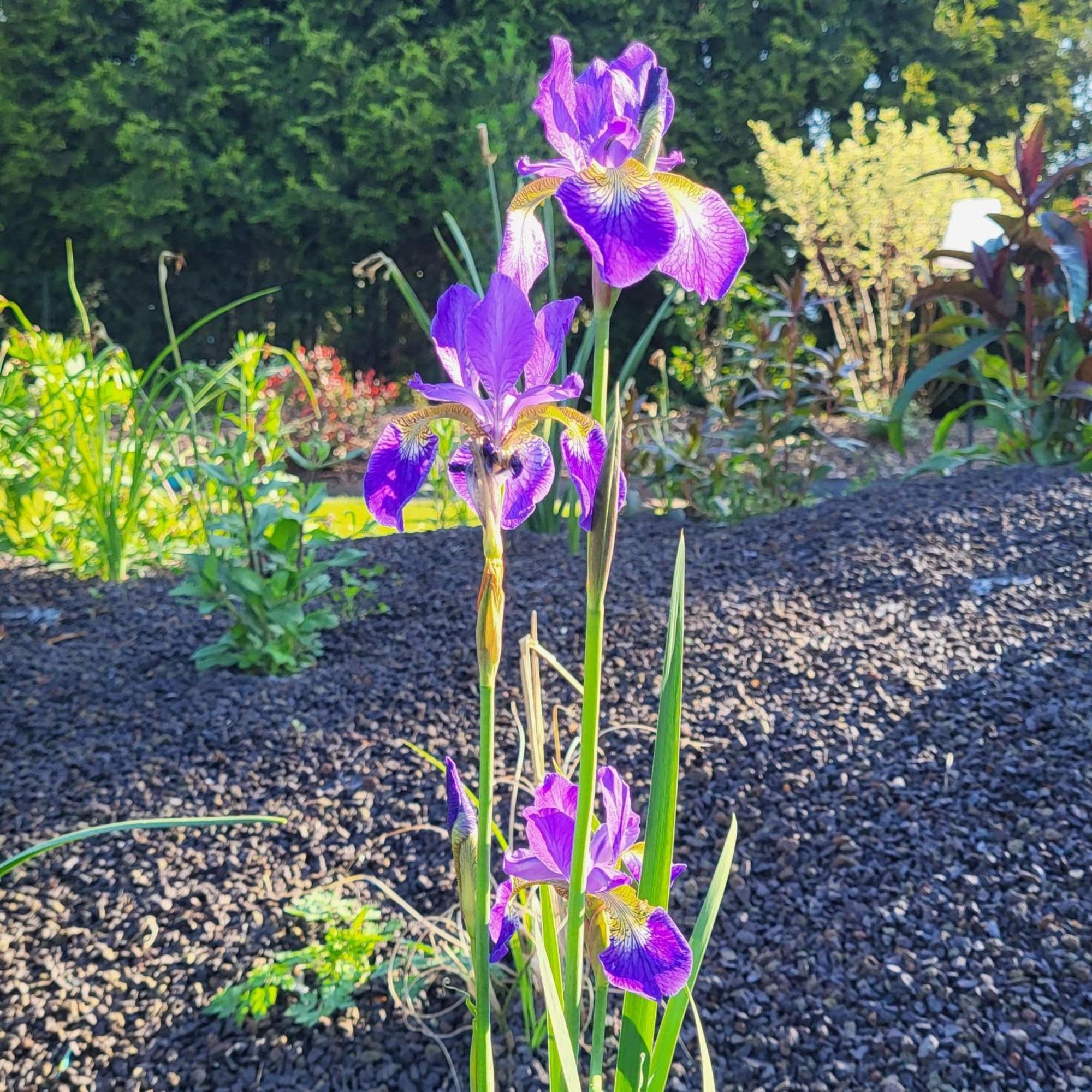 Komfort Ferienwohnungen Mit Wellness-Garten - Gaestehaus Am Bachlauf - Losheim Am See Zimmer foto