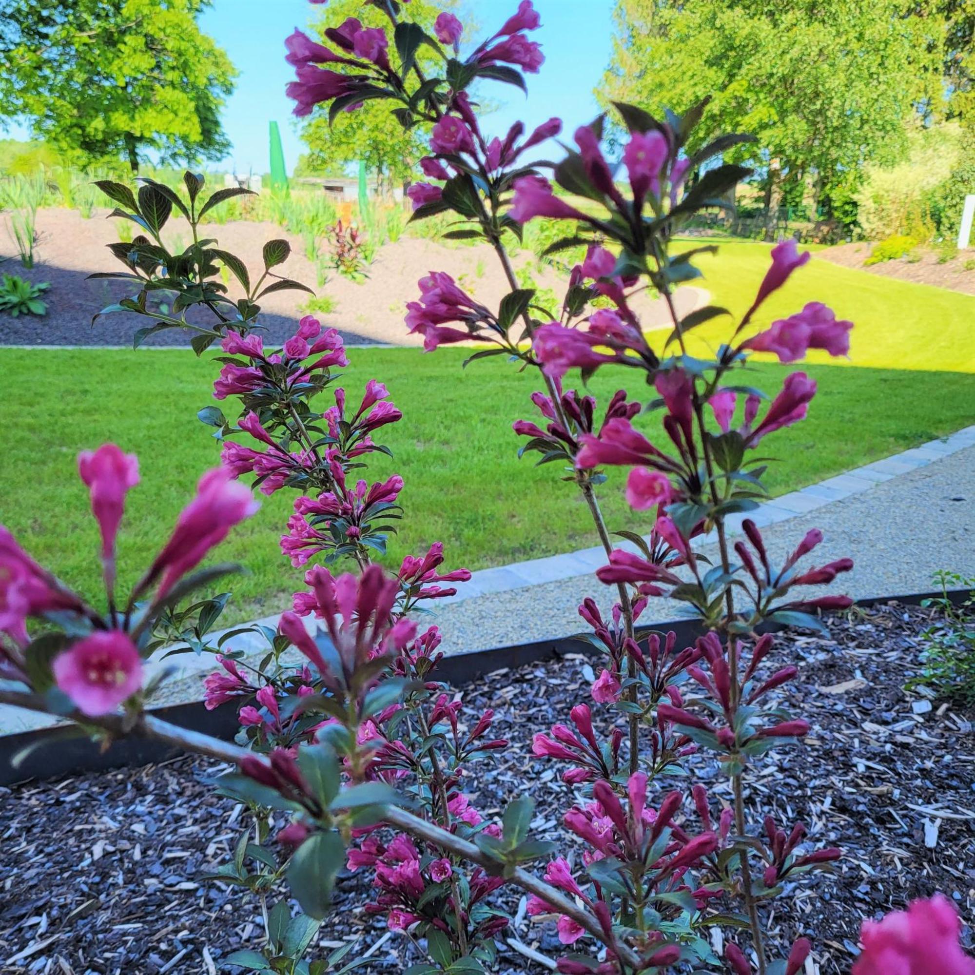 Komfort Ferienwohnungen Mit Wellness-Garten - Gaestehaus Am Bachlauf - Losheim Am See Zimmer foto
